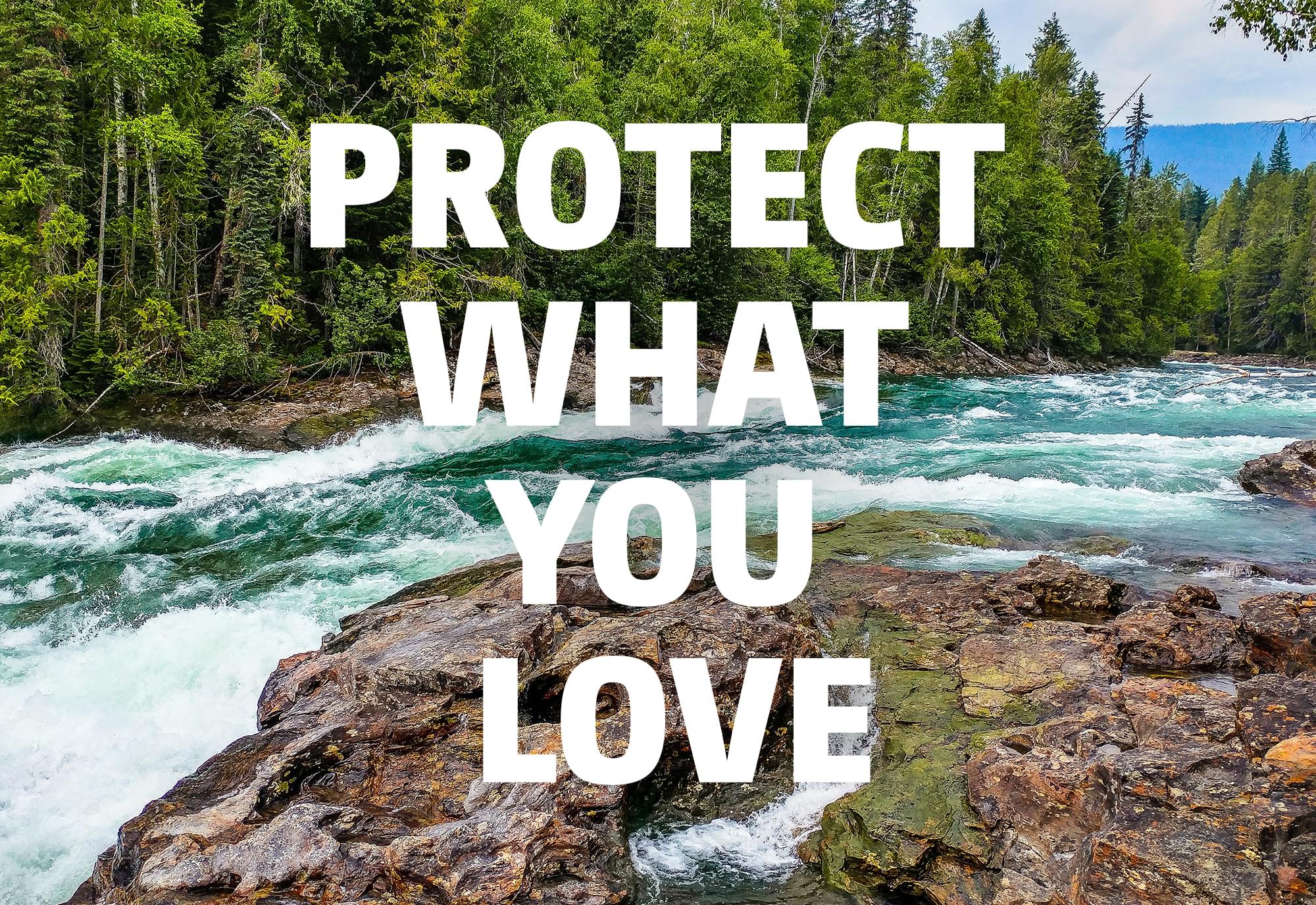 Protect what you love